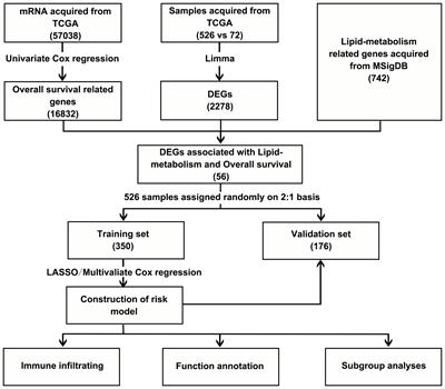 Lipid metabolism-related gene expression in the immune microenvironment predicts prognostic outcomes in renal cell carcinoma